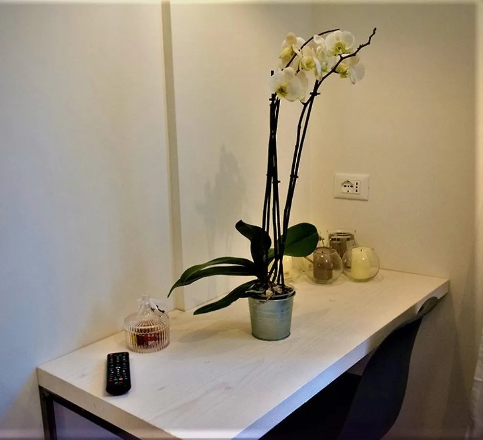 St. Peter'S Luxury Rooms Rome Italy